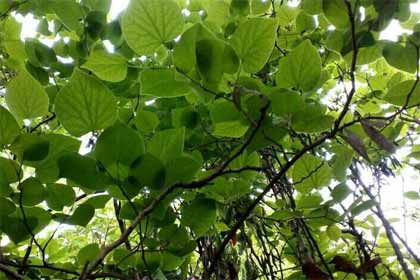 ��ͬѧȺ��һ����