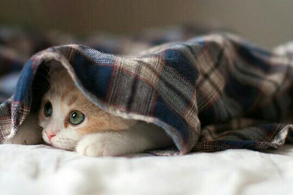 �ȴ���һ����