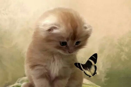 �ҵ�����֮·: ����