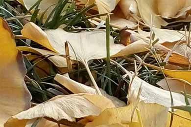 �͵����������������һ�仨��