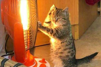 ����17��ı���¼