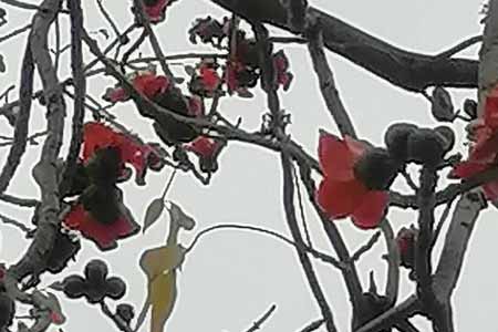 �������ʹ