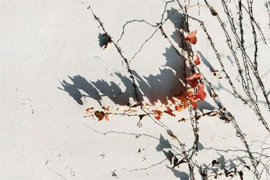 ����ի����˵���㲻����