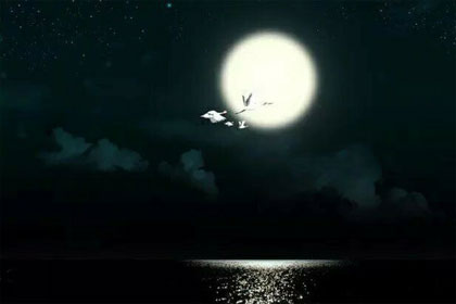 �ٽ�������