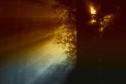 һ֧����Զ���ĸ���