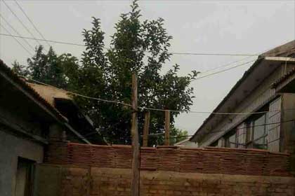 ��һ�������ɰ�����