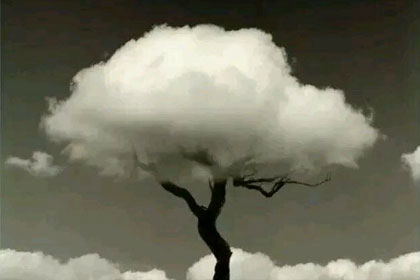 ����һ����ɡ