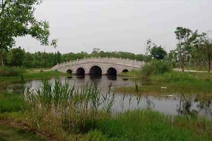 ����������ȹ���