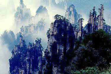 �������������