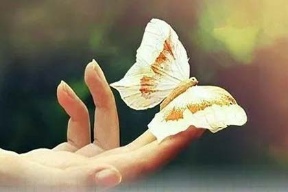 ʱ����������������ģ��