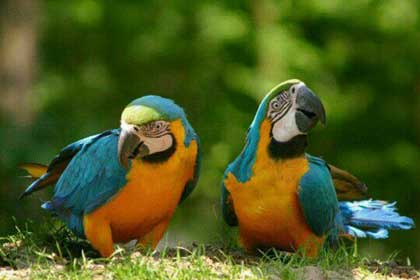 ������ȥ��ô��ϧ