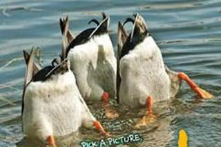 ��ʫ���ף��������,�ǹ�ֽ,�ȴ�����,д��ĸ�׽ڣ�