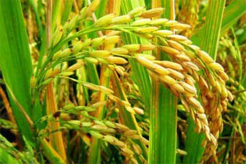 һ�˵����˽��