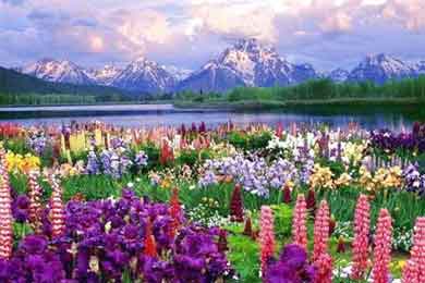 ����ɽׯׯ��������-����