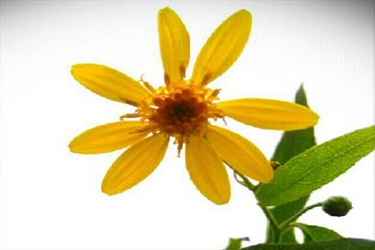 �ҵ�����