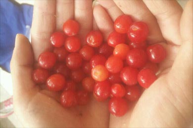 �����ģ�������