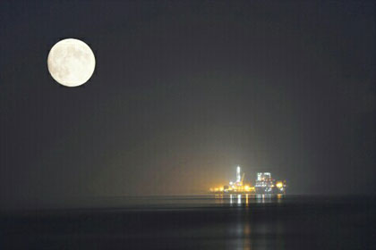 �����������¸�