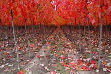 �������������