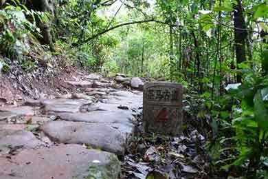 �����ŵ�