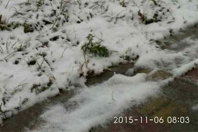 2015�����һ��ѩ