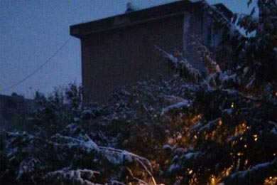 ̤ѩ�޺ۣ�׷Ѱ����