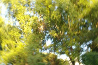 ��Ҫ�ҵ���ɫ