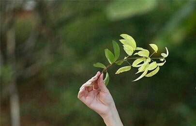 ��Ӱ�����¡���ɦͷ