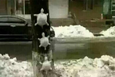 һ�����ȥ