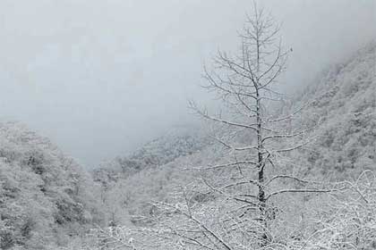 ѩ��Ʈ��ļ���