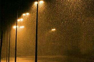 ҹ�������˵����ͣ