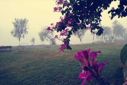 ���꼪�飬������