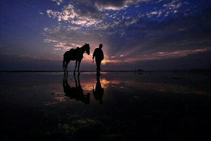 ��������