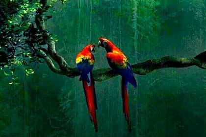 ���γ�֮��������ʫ