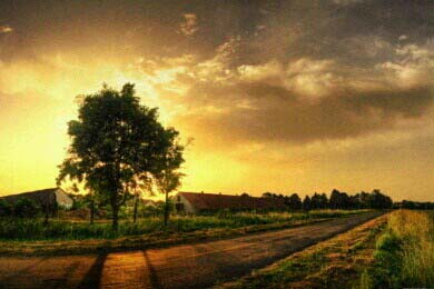 ��ҹ���Ҳ���������