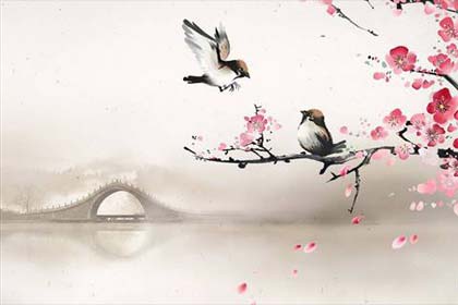 ��ͷ��-�쳾��