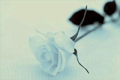 �����Ը��