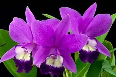 �ҵĿ��־�������