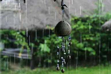 �����Ѷ�