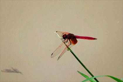 ��孺�����һ�ף�