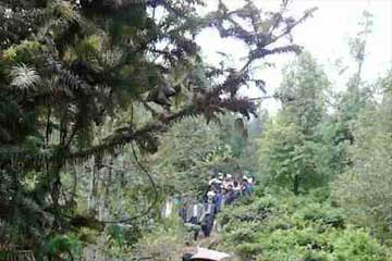 ֻΪ��������Ƶ