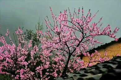 ���꣬����һ�ص�����