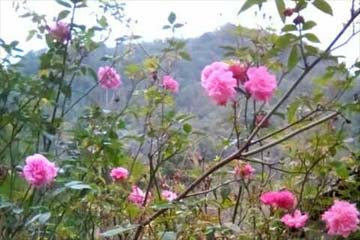 �а����������