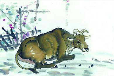 ��������ʺ�