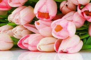 ��һ�������Ļ���