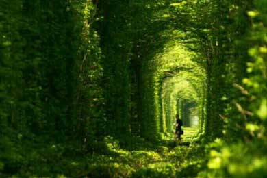 ɢ��ʫ��ƪ/ľ��С��/����/����