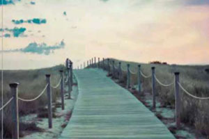 ��ͷ��-�����