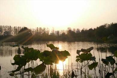 像你,却不如此深情