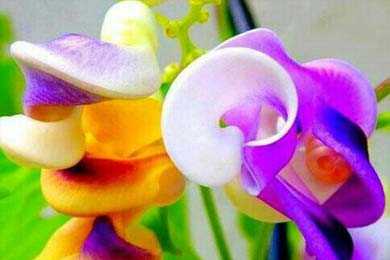 ���� �����˼������ļ�