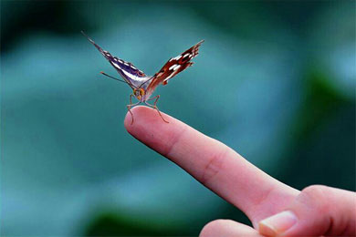 ������������˼С�ִ�����