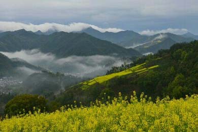 ���ò��������